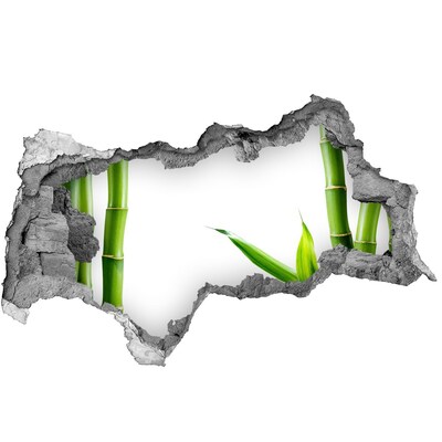 Pegatina decorativa agujero en la pared 3d Planta verde a través de un agujero en la pared.