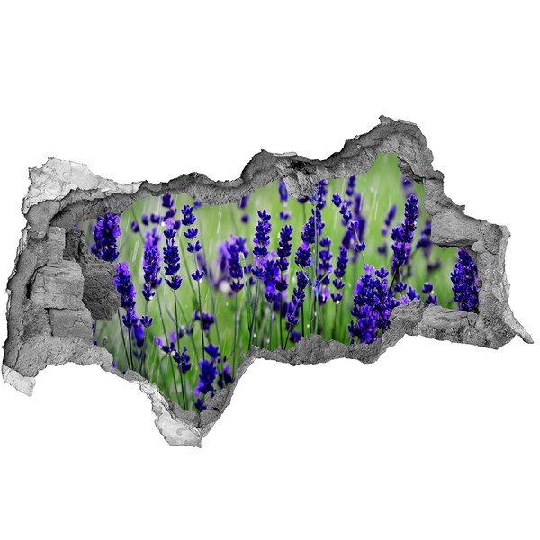 Fotomural autoadhesivo efecto agujero 3d prado de flores de lavanda