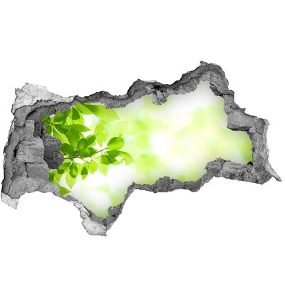 Pegatina decorativa agujero en la pared 3d Paraíso verde detrás del muro