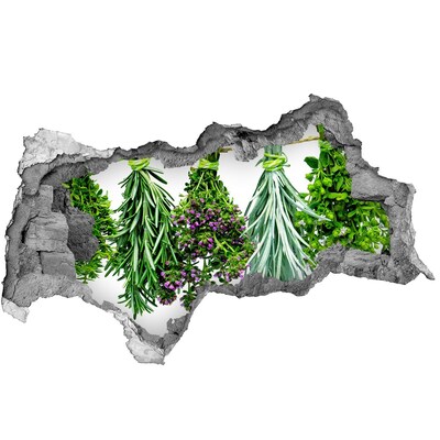 Naklejka 3D dziura na ścianę Ziołowy ogród w dziurze w ścianie