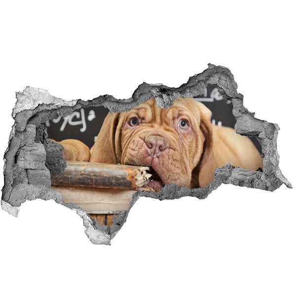 Fotomural autoadhesivo efecto agujero 3d Un lindo cachorro entre libros.