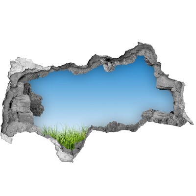 Fotomural autoadhesivo efecto agujero 3d Prado verde bajo un cielo azul