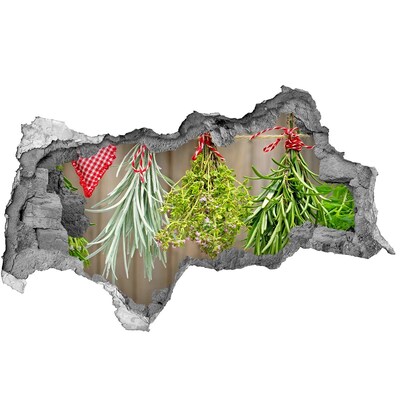 Vinilo efecto 3d pared rota irregular Jardín de hierbas en ruinas