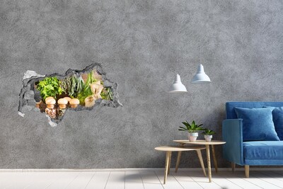 Fotomural autoadhesivo efecto agujero 3d Rincón de hierbas en la cocina