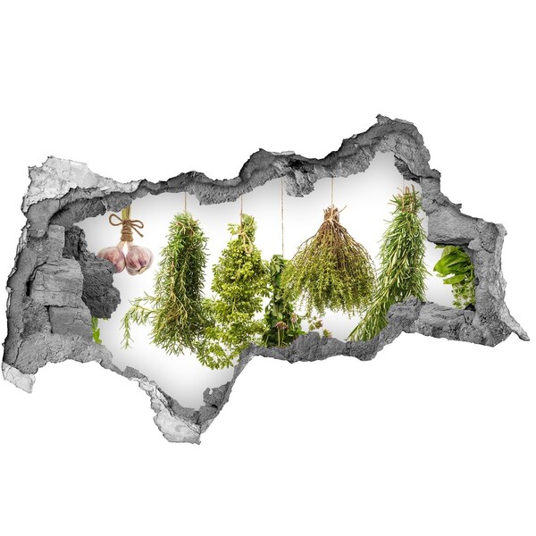 Vinilo adhesivo boquete en la pared rota Jardín de hierbas en ruinas