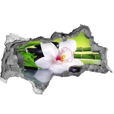 Vinilo efecto 3d pared rota irregular Un oasis floral de paz