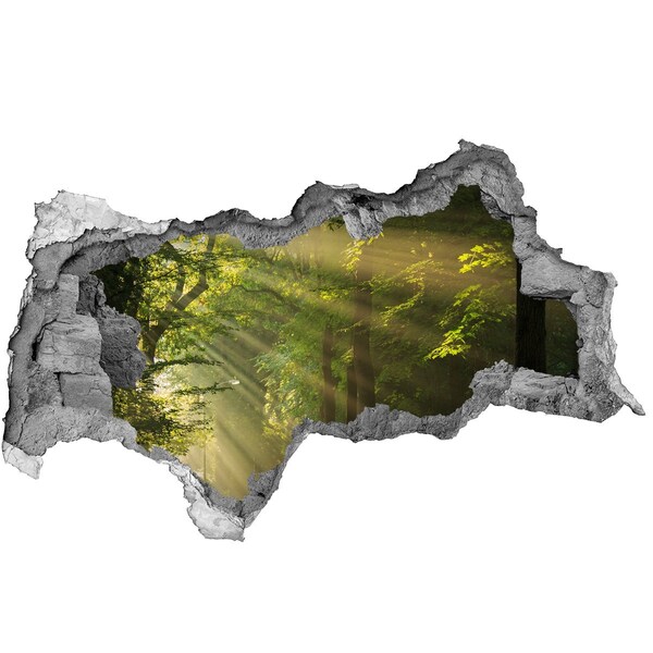 naklejka fototapeta 3D widok Leśna Oaza Światła