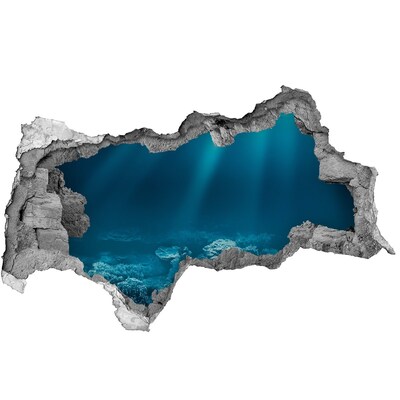 Vinilo adhesivo boquete en la pared rota El mundo submarino de los corales