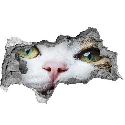 Vinilo adhesivo boquete en la pared rota El gato en la pared