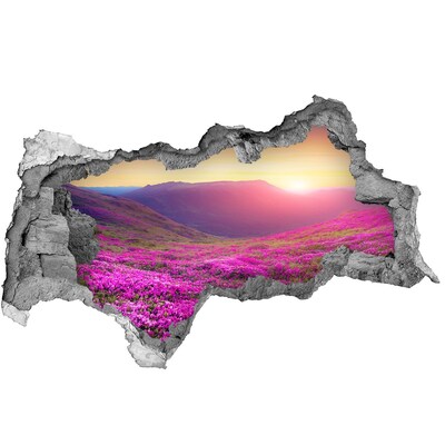 Fotomural autoadhesivo efecto agujero 3d Valle de las flores al atardecer