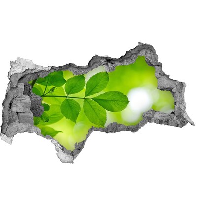 Pegatina decorativa agujero en la pared 3d Un oasis verde en hormigón