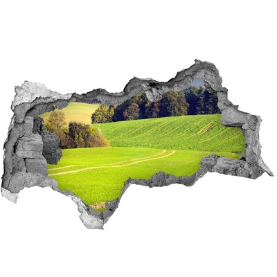 Pegatina decorativa agujero en la pared 3d Un prado verde detrás del muro.
