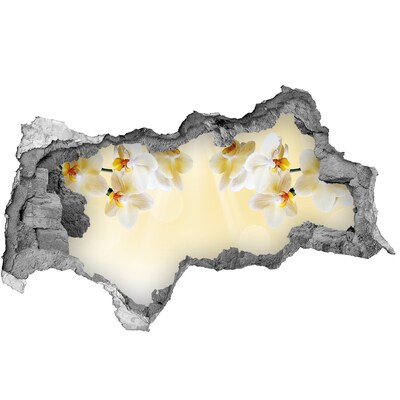 Pegatina decorativa agujero en la pared 3d Un oasis floral detrás del muro