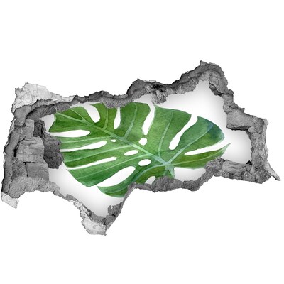 Vinilo efecto 3d pared rota irregular Monstera verde en hormigón