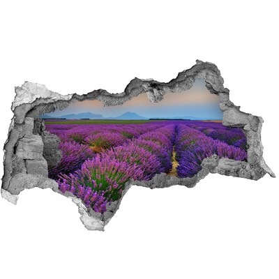 Fotomural autoadhesivo efecto agujero 3d Campos de lavanda al sol