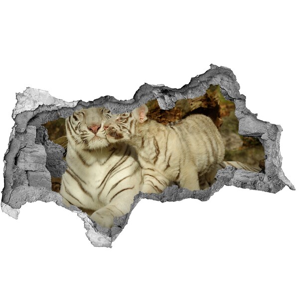 Fotomural autoadhesivo efecto agujero 3d Tigres blancos en la naturaleza