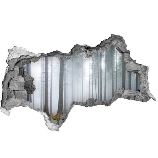 naklejka fototapeta 3D widok Mglisty las