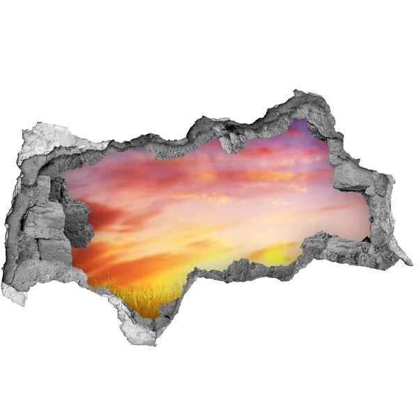 naklejka fototapeta 3D widok Zachód słońca nad łąką