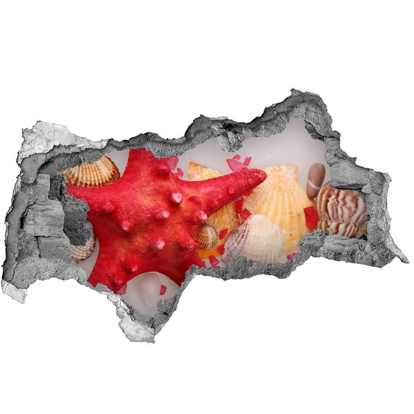 Fotomural autoadhesivo efecto agujero 3d Mundo submarino con conchas