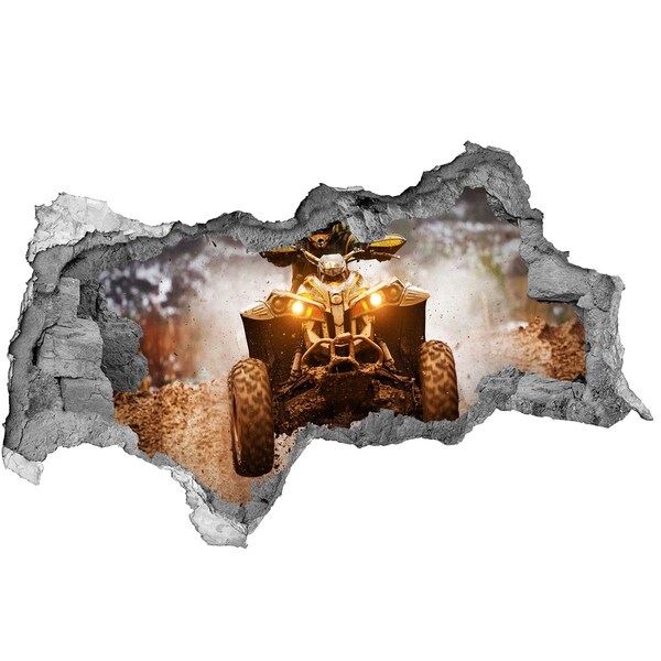 Foto zdjęcie dziura na ścianę Rajdowy quad w akcji