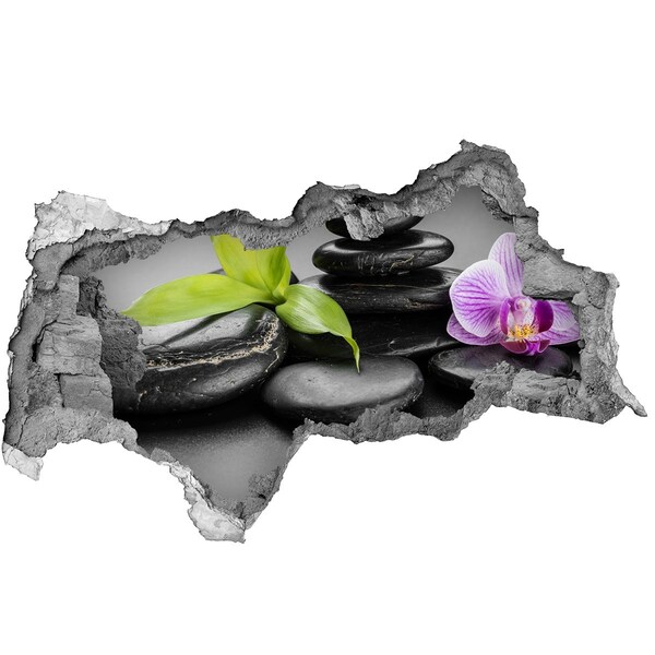 Vinilo adhesivo boquete en la pared rota Una vista relajante con piedras y plantas.