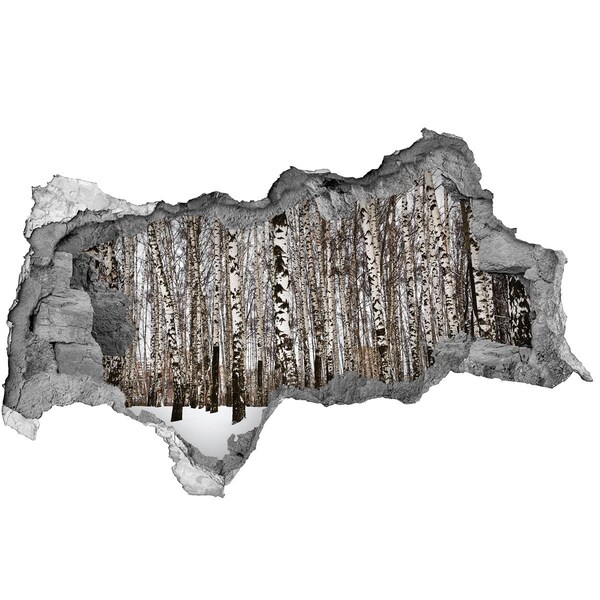 Pegatina decorativa agujero en la pared 3d Bosque de abedules de invierno