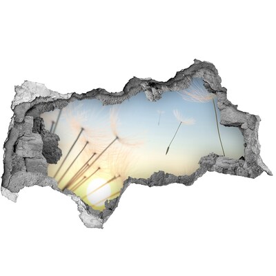 Samoprzylepna dziura naklejka Kwiatowy pejzaż o wschodzie słońca