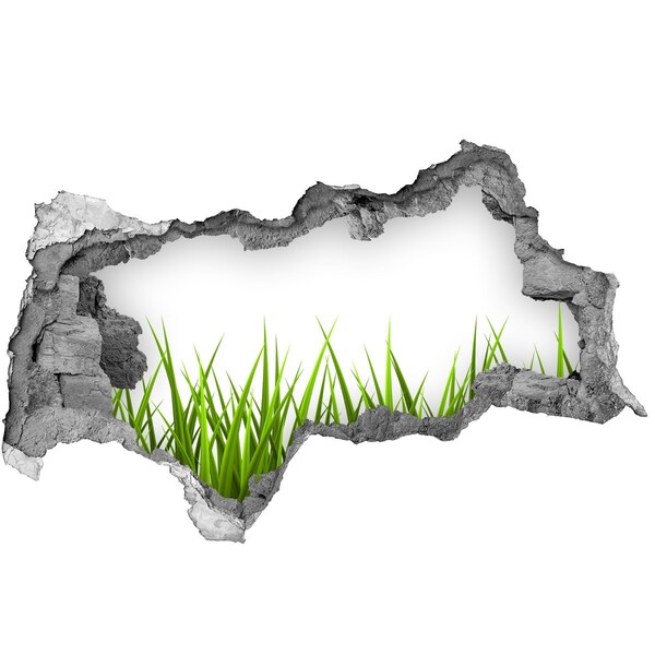 Vinilo efecto 3d pared rota irregular Un prado verde detrás del muro.