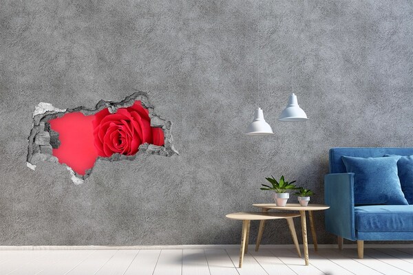 Vinilo efecto 3d pared rota irregular Ilusión floral en hormigón