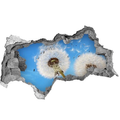 Vinilo efecto 3d pared rota irregular Dientes de león en el cielo azul