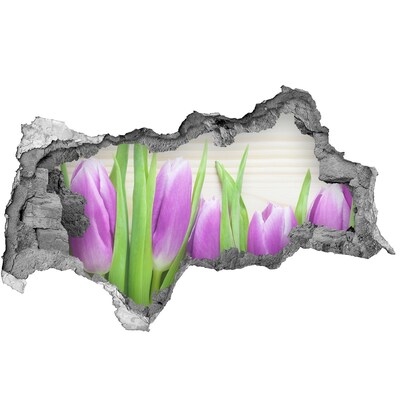 Fotomural autoadhesivo efecto agujero 3d Flores en un agujero en la pared