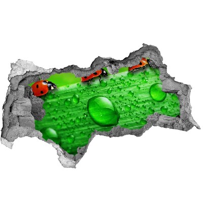 Vinilo adhesivo boquete en la pared rota Una gota de rocío sobre una hoja