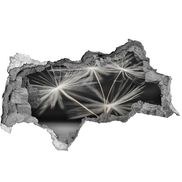 Vinilo efecto 3d pared rota irregular Flores de diente de león en hormigón