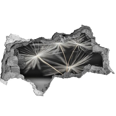 Vinilo efecto 3d pared rota irregular Flores de diente de león en hormigón