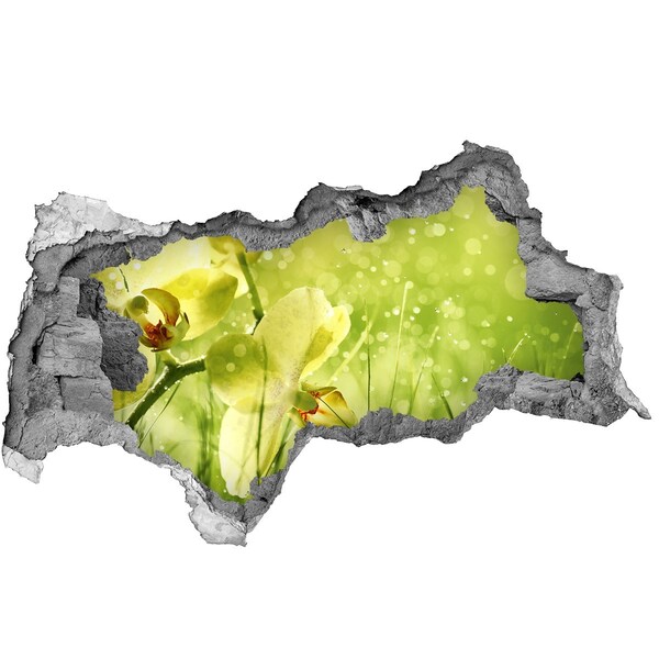 Pegatina decorativa agujero en la pared 3d Un oasis floral en la vegetación.