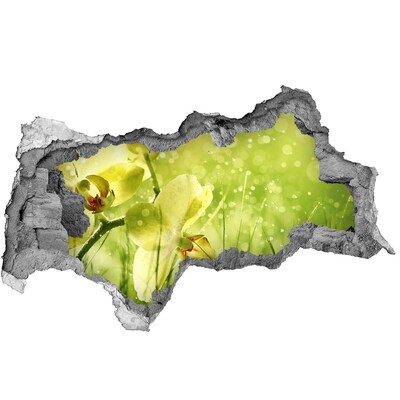 Pegatina decorativa agujero en la pared 3d Un oasis floral en la vegetación.