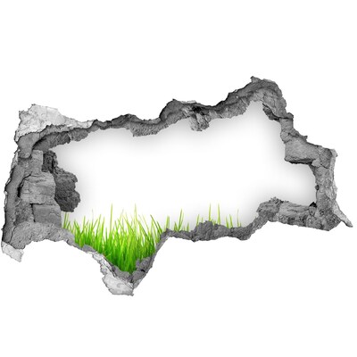 Vinilo efecto 3d pared rota irregular Un prado verde detrás del muro.