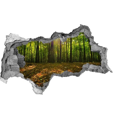 Fotomural autoadhesivo efecto agujero 3d Un oasis forestal bajo el sol