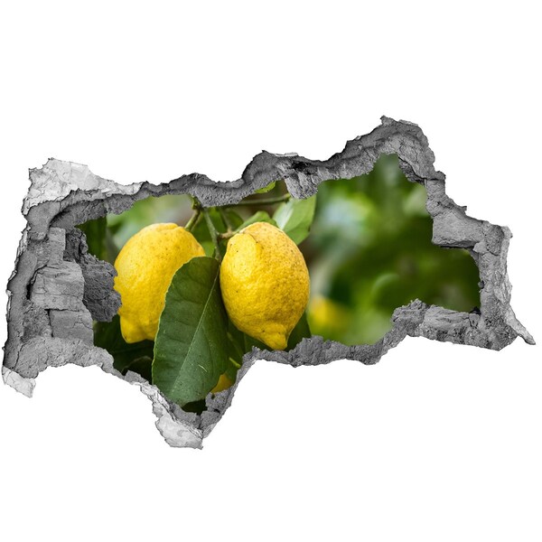Fotomural autoadhesivo efecto agujero 3d Jardín de limones detrás del muro