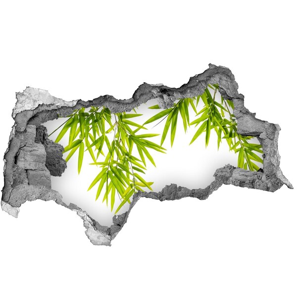 Fotomural autoadhesivo efecto agujero 3d Bambú verde a través de un agujero en la pared.