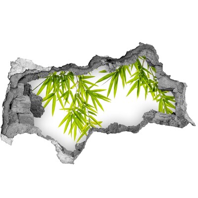 Fotomural autoadhesivo efecto agujero 3d Bambú verde a través de un agujero en la pared.