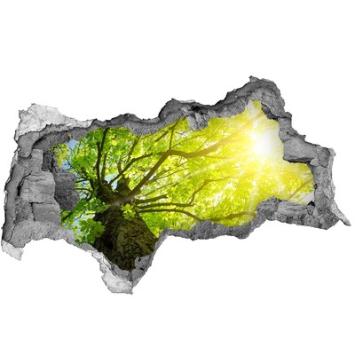 Vinilo efecto 3d pared rota irregular Bosque verde bajo los rayos del sol