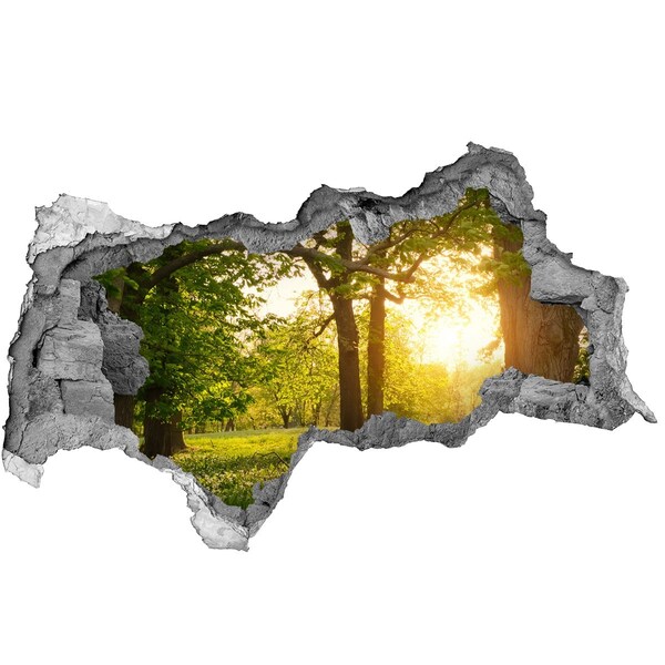 Fotomural autoadhesivo efecto agujero 3d Un paraíso verde entre los árboles.