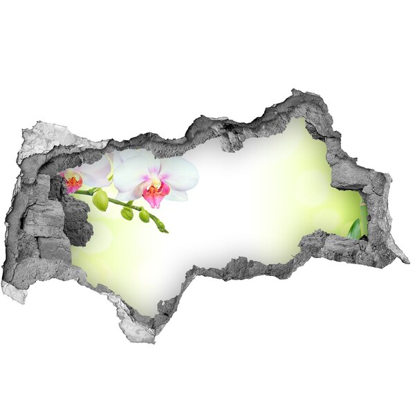 Fototapeta dziura na ścianę Kwiaty orchidei w ogrodzie bambusowym