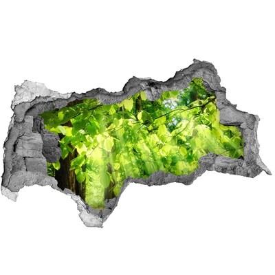 Vinilo efecto 3d pared rota irregular Bosque verde bajo los rayos del sol