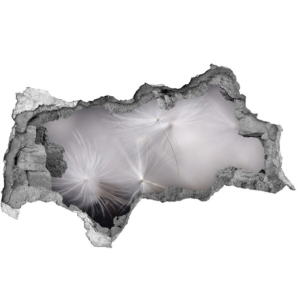 Vinilo efecto 3d pared rota irregular Dientes de león en hormigón