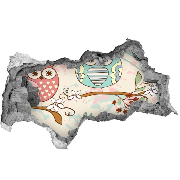 Vinilo adhesivo boquete en la pared rota Búho en un agujero en la pared