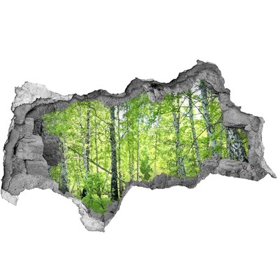 Samoprzylepna dziura naklejka Zielony las w świetle słońca