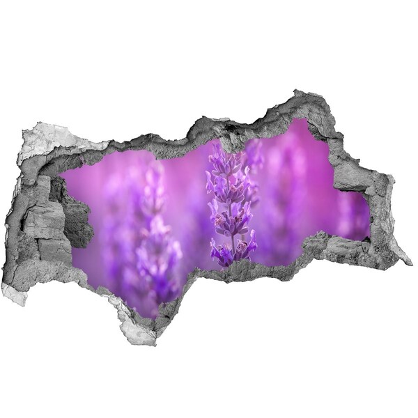 Vinilo efecto 3d pared rota irregular Flores de lavanda a la luz de la mañana.