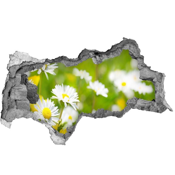 Pegatina decorativa agujero en la pared 3d Un paraíso de flores detrás de los muros.